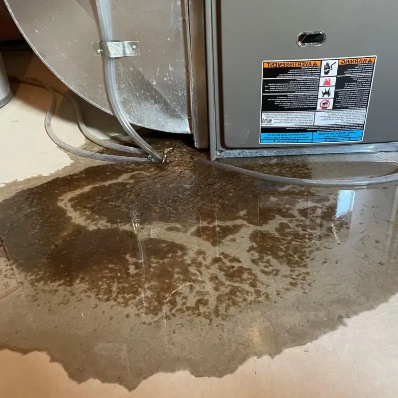 Pipe Burst and Leak Restoration in Eutaw, AL