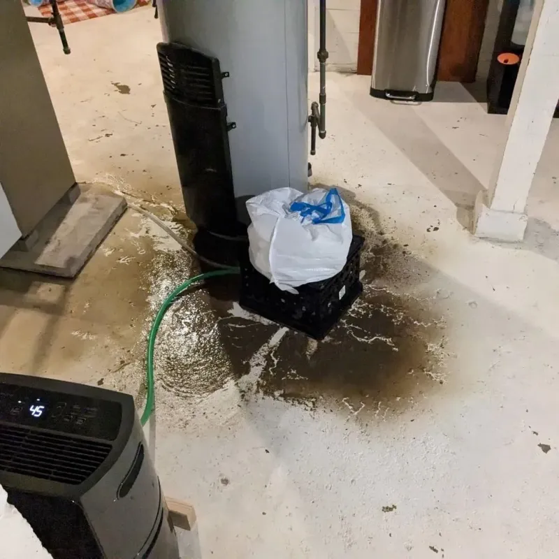 Sewage Backup Cleanup Service in Eutaw, AL